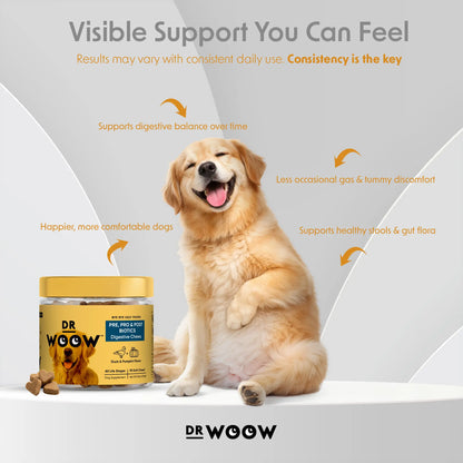 Pre-Pro-Postbiotic Chews for Dogs – Gas, Bloating & Digestion Support | Dr WOOW Feeding