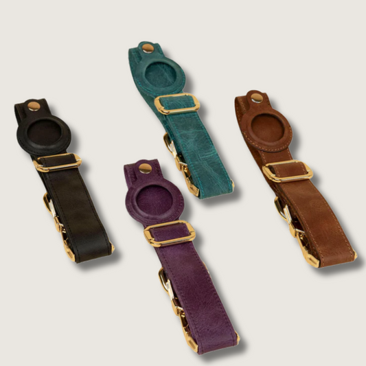 Stylish Leather AirTag Dog Collar - Quad Color Set - Davie