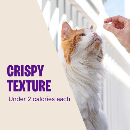 Wellness Kittles Crunchy Cat Treats, All Lifestages, Kitten to Senior, Natural, Grain Free, Tuna and Cranberry Flavor, 6 Oz Bag