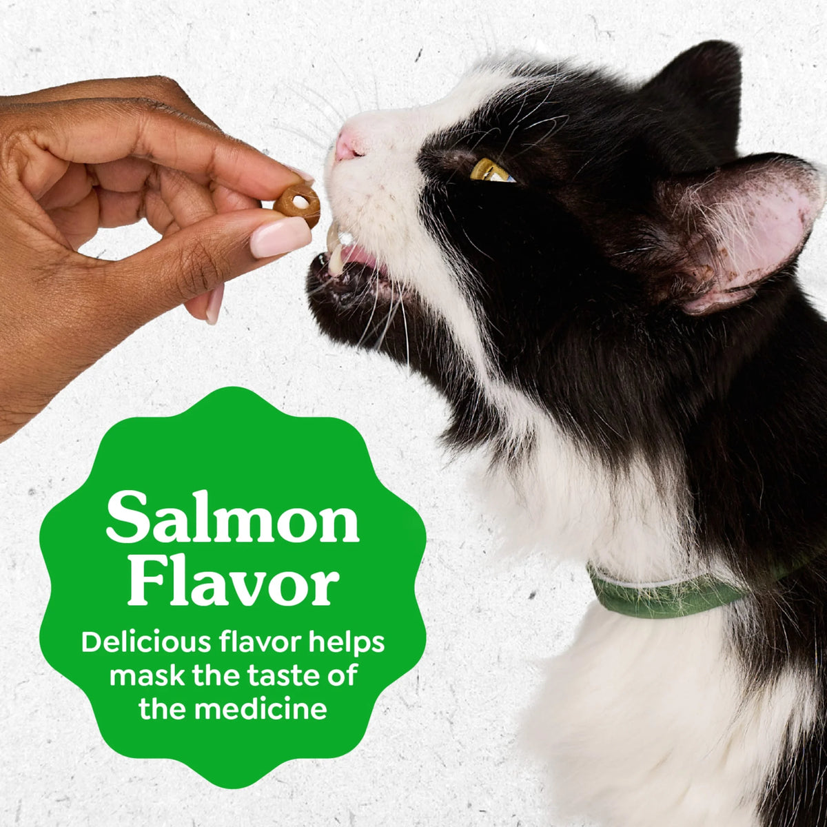 Feline Pill Pockets for Cats, Soft Cat Treats, Salmon Flavor, 3 Oz Pouch
