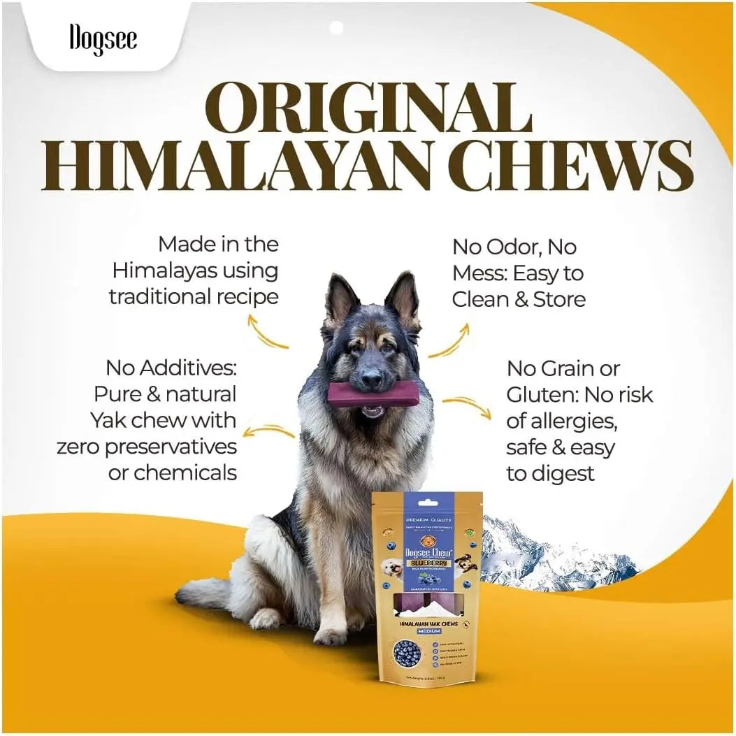 Dogsee Himalayan Yak Cheese Dental Treats - Natural Blueberry Flavor, Medium, 2 Count, 60% Protein, Gluten-Free, Fruit-Infused, Clean Teeth, Antioxidants, Immunity Boost, Grain & Rawhide-Free, All-Age Dog Treats