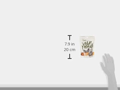 Crunchy Cat Treats, Protein Cat Treat, Chicken Flavor, 2.5Oz | Healthy Cat Treats, Natural Feline Snacks, Protein Rich, Crunchy Biscuits, Indoor Cats, Kitten Rewards, Made in USA