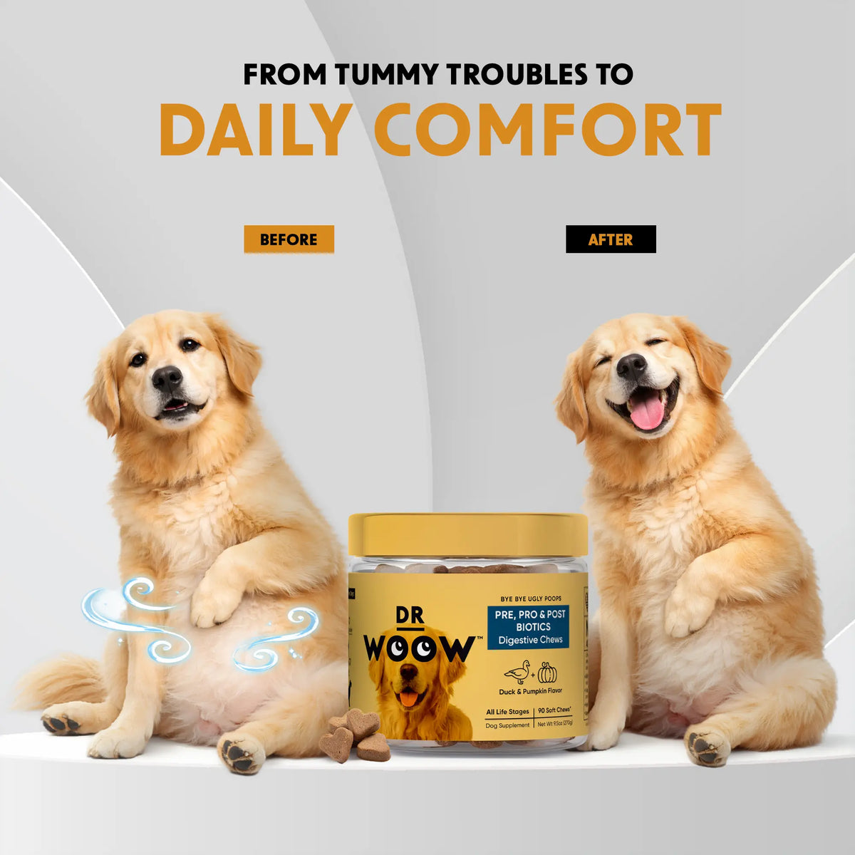 Pre-Pro-Postbiotic Chews for Dogs – Gas, Bloating & Digestion Support | Dr WOOW Feeding