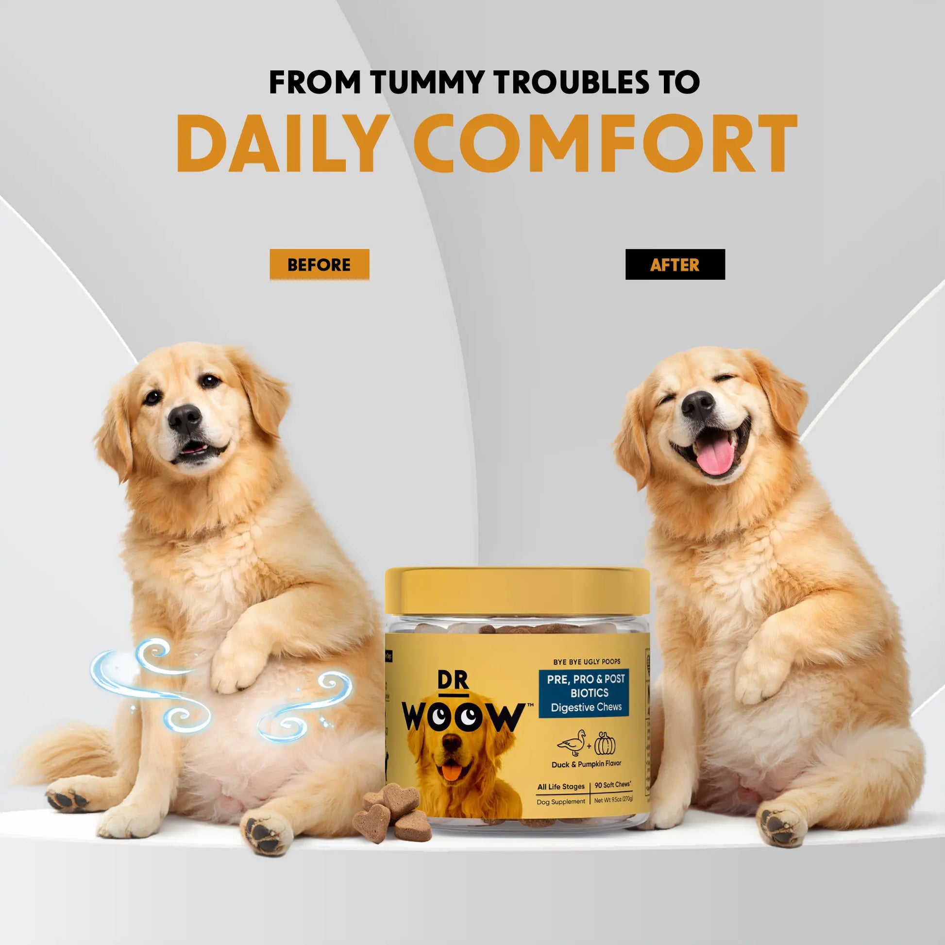 Pre-Pro-Postbiotic Chews for Dogs – Gas, Bloating & Digestion Support | Dr WOOW Feeding