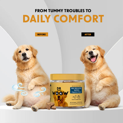 Pre-Pro-Postbiotic Chews for Dogs – Gas, Bloating & Digestion Support | Dr WOOW Feeding
