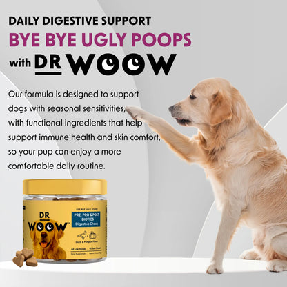 Pre-Pro-Postbiotic Chews for Dogs – Gas, Bloating & Digestion Support | Dr WOOW Feeding