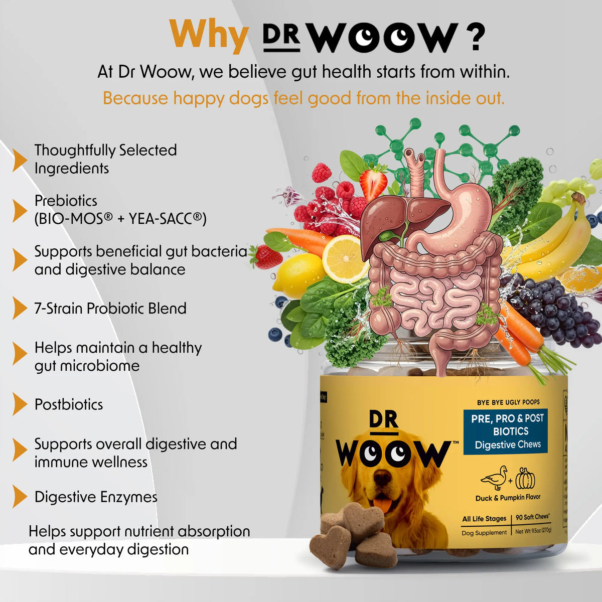 Pre-Pro-Postbiotic Chews for Dogs – Gas, Bloating & Digestion Support | Dr WOOW Feeding