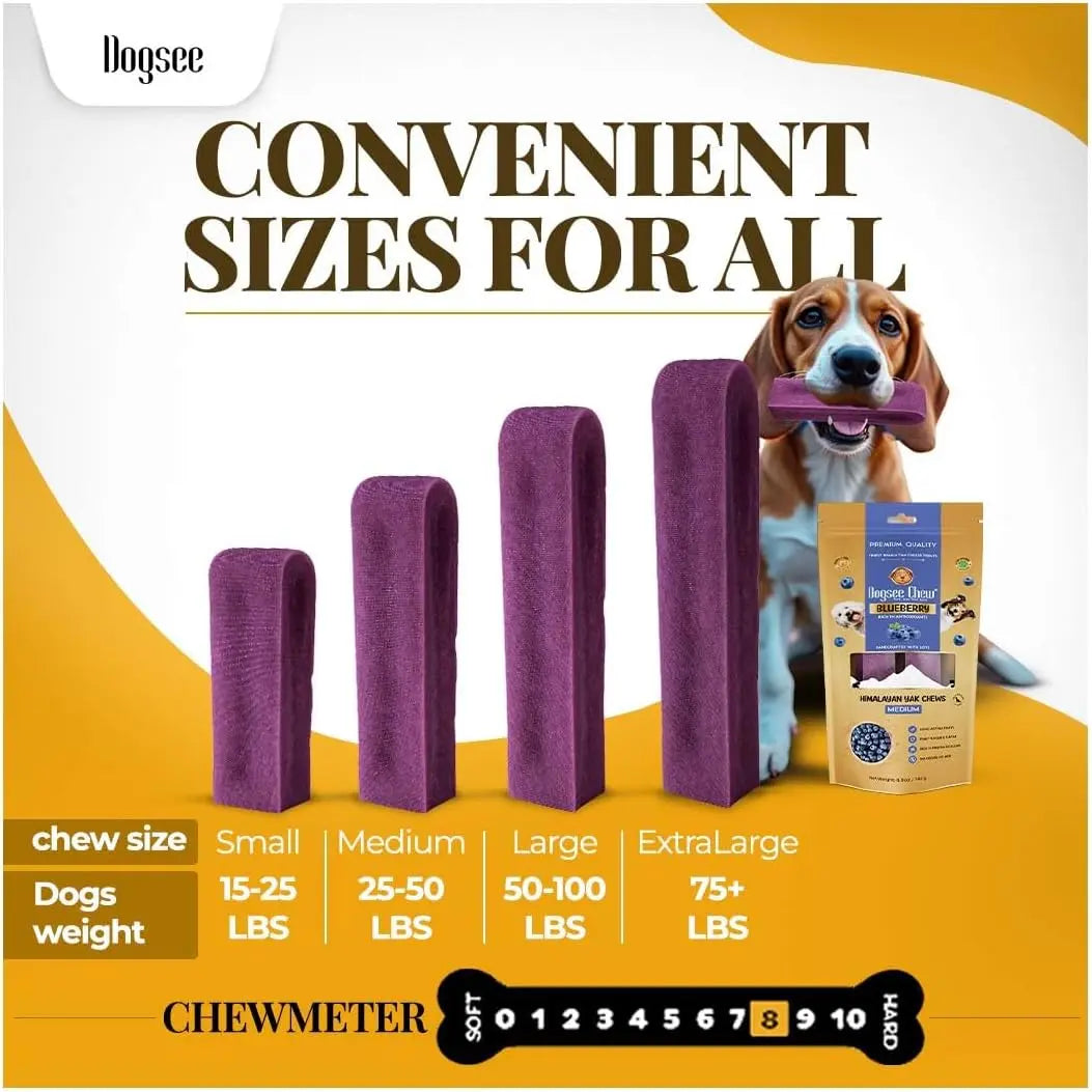 Dogsee Himalayan Yak Cheese Dental Treats - Natural Blueberry Flavor, Medium, 2 Count, 60% Protein, Gluten-Free, Fruit-Infused, Clean Teeth, Antioxidants, Immunity Boost, Grain & Rawhide-Free, All-Age Dog Treats