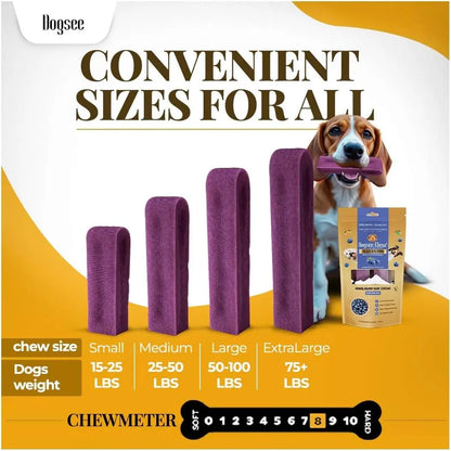 Dogsee Himalayan Yak Cheese Dental Treats - Natural Blueberry Flavor, Medium, 2 Count, 60% Protein, Gluten-Free, Fruit-Infused, Clean Teeth, Antioxidants, Immunity Boost, Grain & Rawhide-Free, All-Age Dog Treats