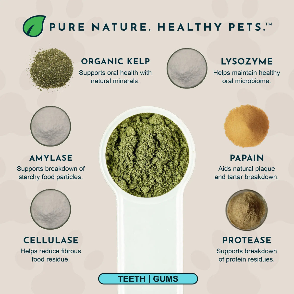 Sea-Dent Anti-Plaque Powder - Dog Dental Powder for Teeth & Gum Support - Organic Kelp & Plant Enzymes for Dogs & Cats