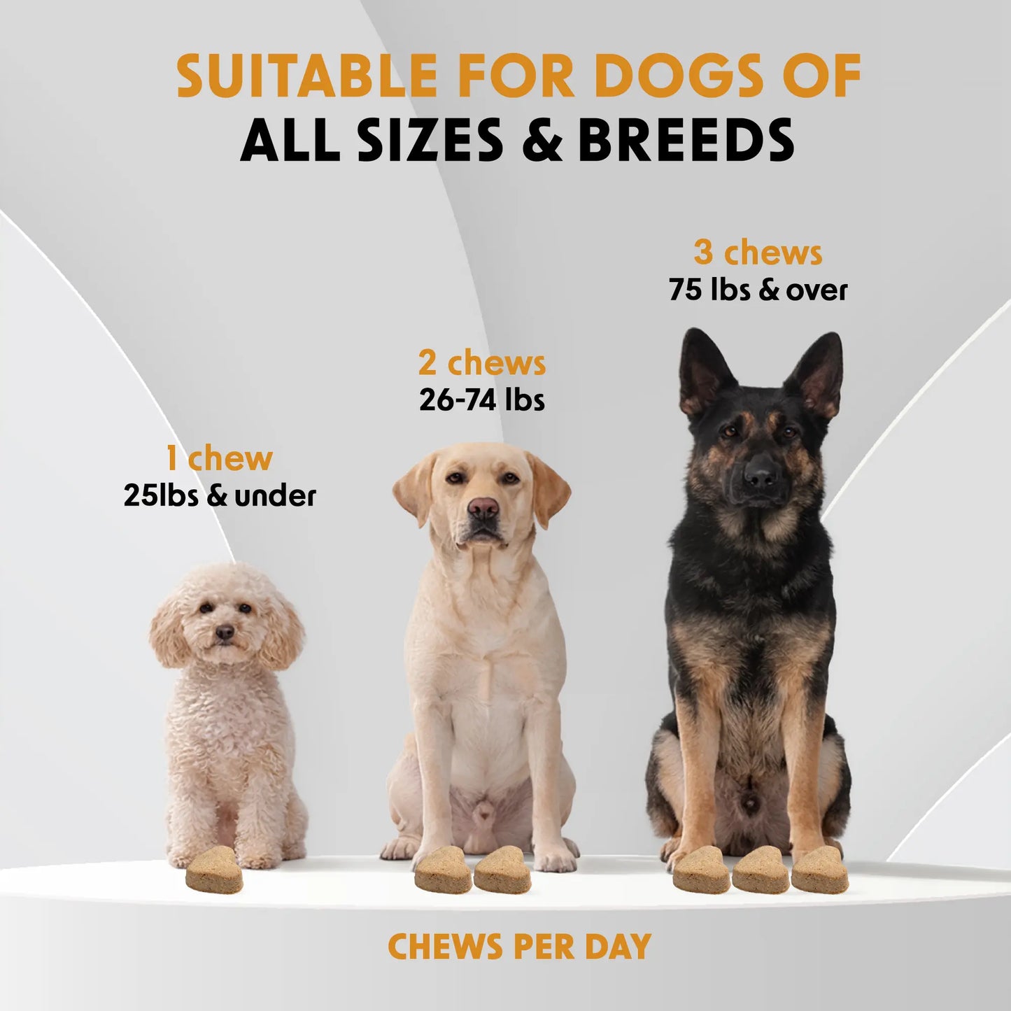Pre-Pro-Postbiotic Chews for Dogs – Gas, Bloating & Digestion Support | Dr WOOW Feeding