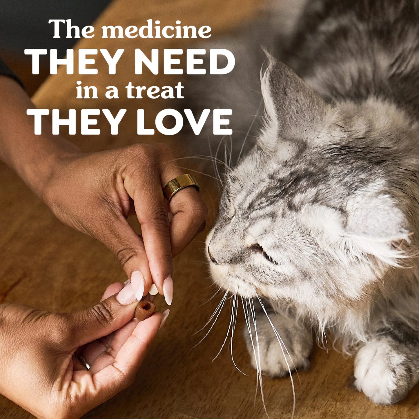 Feline Pill Pockets for Cats, Soft Cat Treats, Salmon Flavor, 3 Oz Pouch