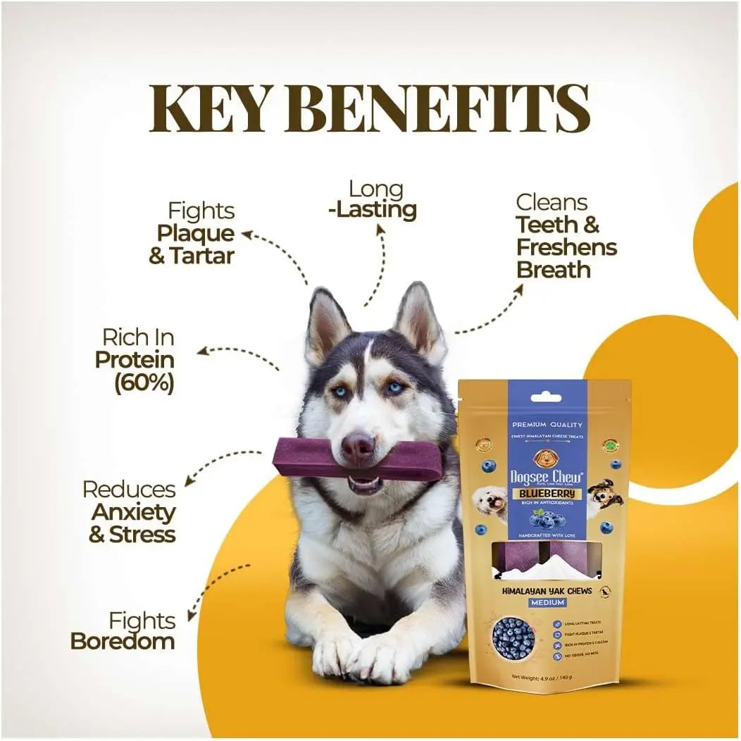 Dogsee Himalayan Yak Cheese Dental Treats - Natural Blueberry Flavor, Medium, 2 Count, 60% Protein, Gluten-Free, Fruit-Infused, Clean Teeth, Antioxidants, Immunity Boost, Grain & Rawhide-Free, All-Age Dog Treats